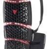 Dainese Pro-Armor Back Short Rugprotector